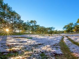 Bất ngờ Đà Lạt đẹp mê hoặc giữa ‘biển sương’, huyền ảo như chốn bồng lai