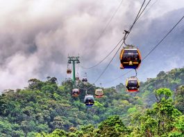 cap-treo-doi-robin-da-lat