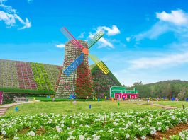 fresh-da-lat