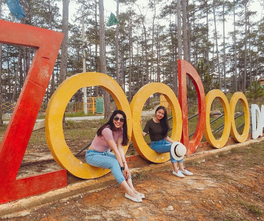gia-ve-zoodoo-da-lat
