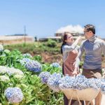 vuon-hoa-cam-tu-cau-dia-chi