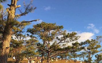 Yêu nhau lên Đà Lạt về là chia tay? Bạn dám tin không?