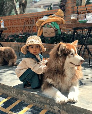 Điểm danh 4 quán cà phê dành riêng cho hội yêu chó mèo Đà Lạt