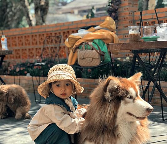 Điểm danh 4 quán cà phê dành riêng cho hội yêu chó mèo Đà Lạt