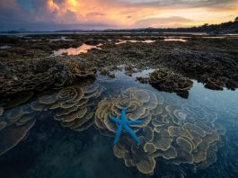 Hé lộ những địa điểm không nên bỏ lỡ khi đến Phú Yên