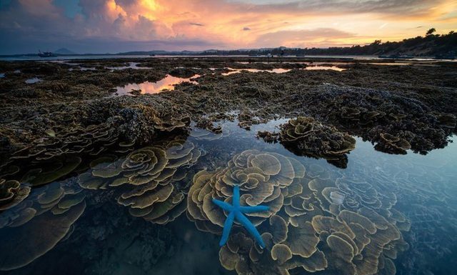 Hé lộ những địa điểm không nên bỏ lỡ khi đến Phú Yên