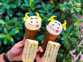 Đổi vị đầu xuân với loạt món ngon “gây thương nhớ” tại Tp. HCM