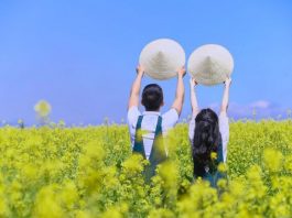 Ngỡ ngàng trước cảnh sắc tuyệt đẹp tại cánh đồng hoa Bạc Liêu