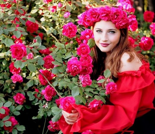 Thơ thẩn trước vẻ đẹp thơ mộng của khu vườn hoa hồng Ecopark “đẹp như cổ tích”