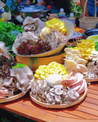 Khám phá ngôi làng nấm Đà Lạt – Ngôi làng cổ tích chìm trong sương mù