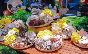 Khám phá ngôi làng nấm Đà Lạt – Ngôi làng cổ tích chìm trong sương mù