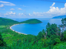 Vé máy bay đi Đà Nẵng: Tận hưởng hành trình thú vị đến thành phố biển xinh đẹp