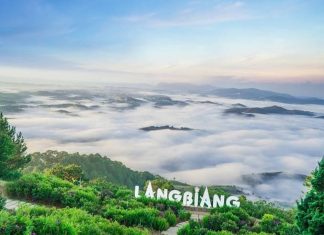 Địa điểm du lịch Đà Lạt: Khám phá thiên đường nghỉ dưỡng