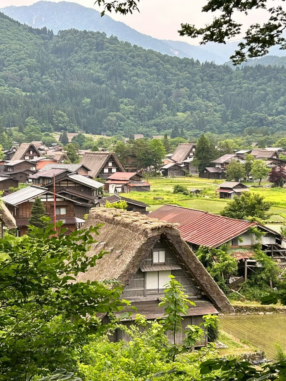 Tiểu sử Khách sạn và đồ ăn lạ ở Nhật Bản: Từ ryokan di sản đến thịt bò Hida
