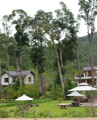 Laan Resort Đà Lạt – Chốn bình yên đậm chất nghệ thuật Retro