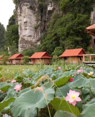 Điểm hút khách tại Lotus Field Homestay ở Tràng An
