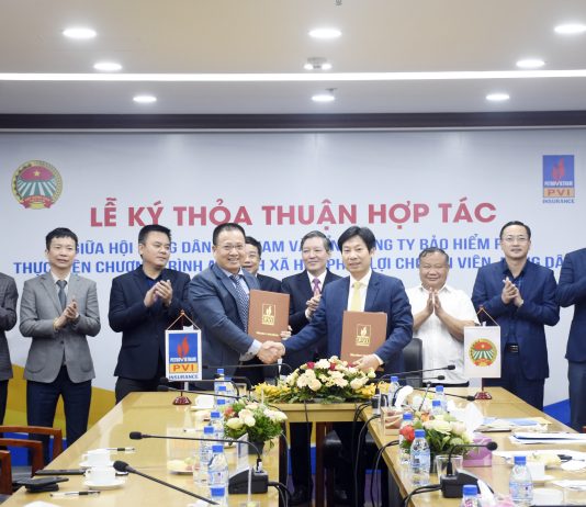 Mua Bảo Hiểm PVI Tất Cả Những Gì Bạn Cần Biết Công Ty Bảo Hiểm PVI Điểm Nhấn Của Thị Trường Bảo Hiểm Việt Nam