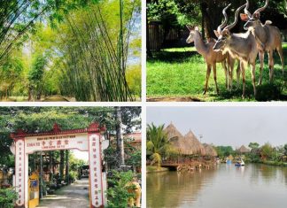 5 địa điểm du lịch Bến Cát nổi tiếng thu hút khách du lịch
