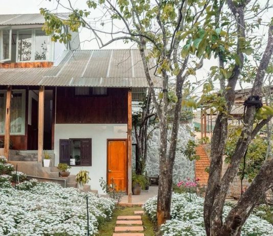 Thung lũng Sun View Homestay – Nơi có khu vườn cúc họa mi CỰC ĐẸP