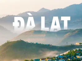 Kinh nghiệm du lịch Đà Lạt tự túc bằng xe máy chi tiết từ A đến Z