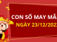Con số may mắn hôm nay 23/12/2023 theo tuổi của bạn: Số đẹp giúp bạn hái lộc