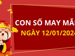 Con số may mắn hôm nay 12/1/2024 theo tuổi của bạn: Chọn số PHÁT LỘC cho bạn
