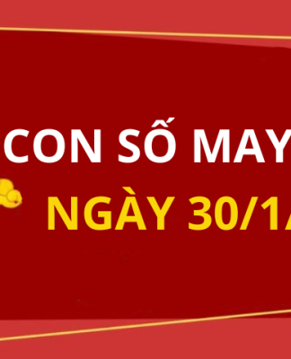 Con số may mắn hôm nay 30/1/2024 theo tuổi của bạn: Chọn đúng số PHÁT TÀI