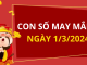 Con số may mắn hôm nay 1/3/2024 theo tuổi của bạn: Tìm SỐ MAY giúp bạn VƯỢNG TÀI