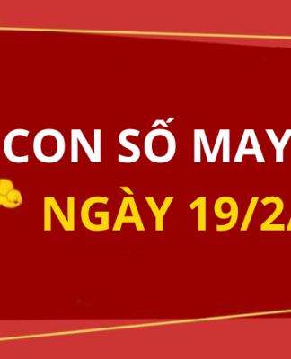 Con số may mắn hôm nay 19/2/2024 theo tuổi của bạn: Nhanh tay chọn ngay SỐ MAY hợp tuổi