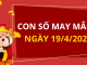 Con số may mắn hôm nay 19/4/2024 theo tuổi của bạn: SỐ CÁT giúp bạn PHÁT TÀI NHANH