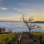 Top 20 cảnh đẹp Đà Lạt thơ mộng, check in thỏa thích