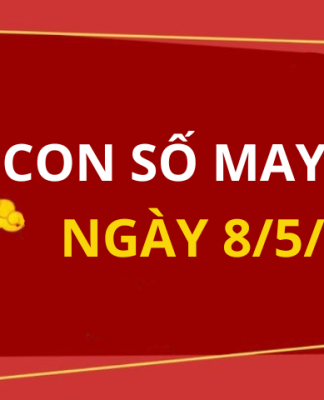 Con số may mắn hôm nay 8/5/2024 theo tuổi của bạn: Số GIÀU mới nhất trong ngày