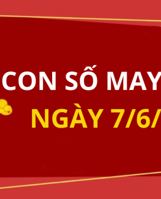Con số may mắn hôm nay 7/6/2024 theo 12 con giáp: Số mang tiền lộc về cho bạn