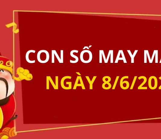 Con số may mắn hôm nay 8/6/2024 theo 12 con giáp: Chọn số may giúp bạn trúng ngay