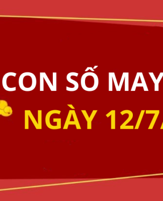 Con số may mắn hôm nay 12/7/2024 theo 12 con giáp: Tìm số đại cát giúp bạn đổi đời