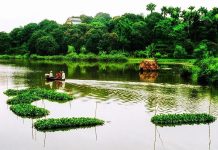 Đầm Ao Châu Phú Thọ – Viên Ngọc Xanh Giữa Lòng Đất Tổ Miền Trung Du