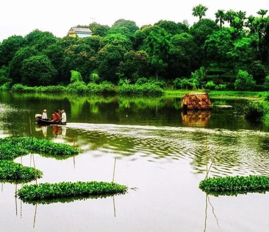 Đầm Ao Châu Phú Thọ – Viên Ngọc Xanh Giữa Lòng Đất Tổ Miền Trung Du