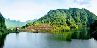 Hồ Ly Phú Thọ – Hành Trình Tìm Về “Tuyệt Tình Cốc”