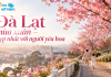 Đi Đà Lạt Mùa Nào Đẹp Nhất?