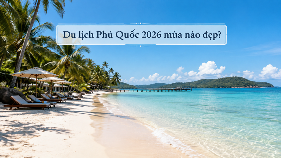 Bãi biển Phú Quốc mùa nắng, nước xanh trong, cát trắng và hàng dừa.