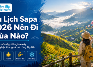 Du Lịch Sapa 2026: Kinh Nghiệm Cho Người Đi Lần Đầu Lịch trình Sapa 3 ngày 2 đêm cho người lần đầu